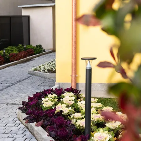 Monolocale Bucaneve - Cascina Da Rosa